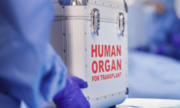 The organ transplant mafia is also active in the coastal region of Alappuzha district