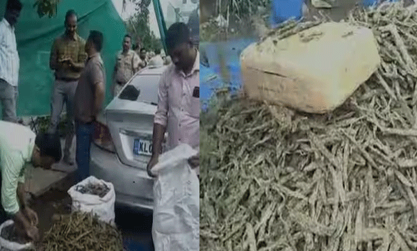 murder-case-accused-and-his-friend-arrested-with-100-kg-cannabis-in-kodakara