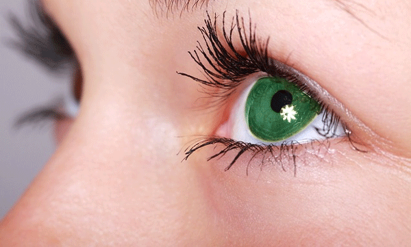 kuwaiti-engineer-divorces-wife-over-eye-color-in-a-bizarre-dispute