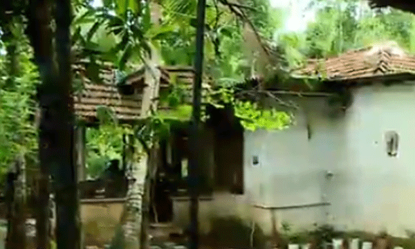 An eight-year-old boy was bitten while trying to save his friend and mother from a dog