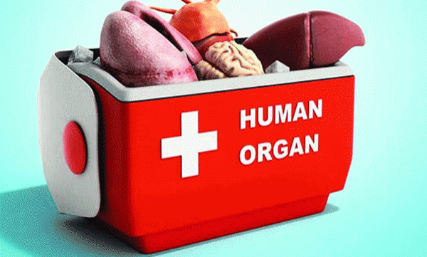 Organ Trafficking Case; 6 lakhs to donors; Purchases from recipients up to Rs.1 crore