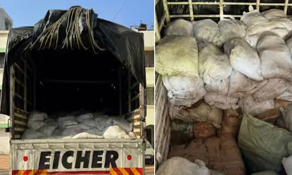 seized-883-kilo-of-ganja-worth-2-crore-says-pune-customs