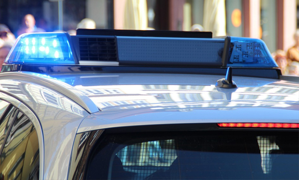 carcass-of-bear-in-plastic-bag-found-in-arlington-virginia