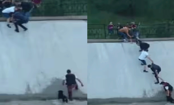 people-rescuing-dog-from-reservoir-viral-video