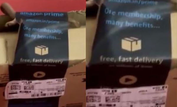  bengaluru-couple-claims-to-find-live-cobra-inside-amazon-package