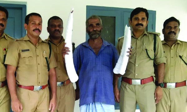 Ivory smuggling from Euseb is shocking