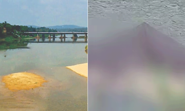 buffalo-found-dead-in-bharathapuzha