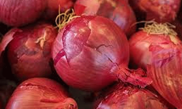 A sack of onions at a glance; On the way the plan was foiled and 1600 liters of spirit was seized