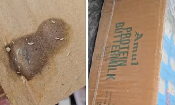 young-man-shares-video-of-worms-in-amul-s-protein-buttermilk-pack-viral