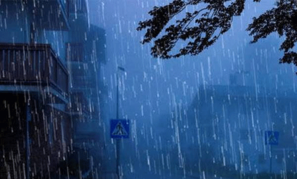 kerala-rain-holiday-declared-for-educational-institutions-in-wayanad