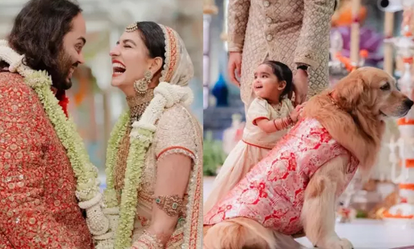 Family pets in designer outfits too add glitz in radhika anant ambani wedding 