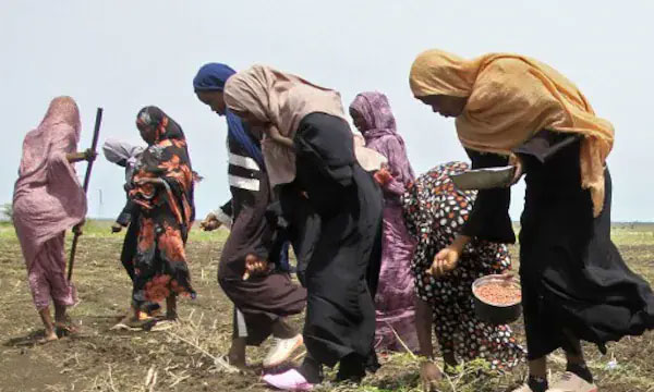 In Sudan, Women Forced To Line Up For Sex With Soldiers For Food