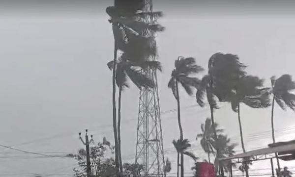 Cyclone in Malappuram, Thrissur and Palakkad; Trees fell on top of vehicles