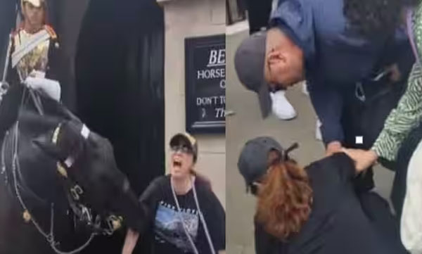 kings-guard-horse-bite-woman-collapsed