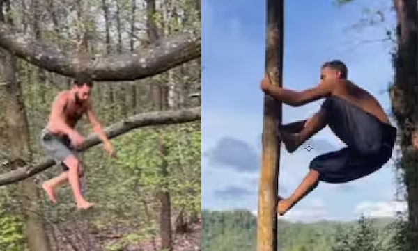 video-of-young-man-jumping-from-tree-to-tree-goes-viral