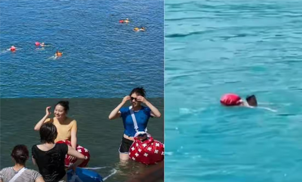 people-swim-to-work-in-switzerland-viral-post