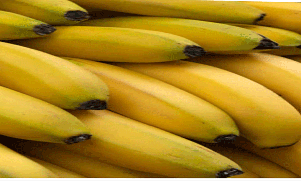 x-ray-finds-irregularity-in-banana-container-seized-25-crore-worth-cocaine-in-greece