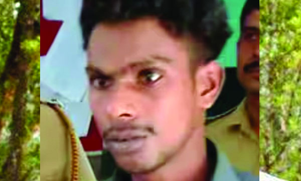 The Palakkad woman was invited to Alappuzha with a job offer by advertising online