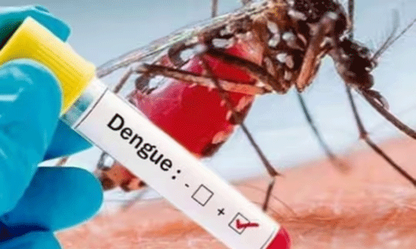dengue-outbreak-in-kottaparambu-hospital-kozhikode