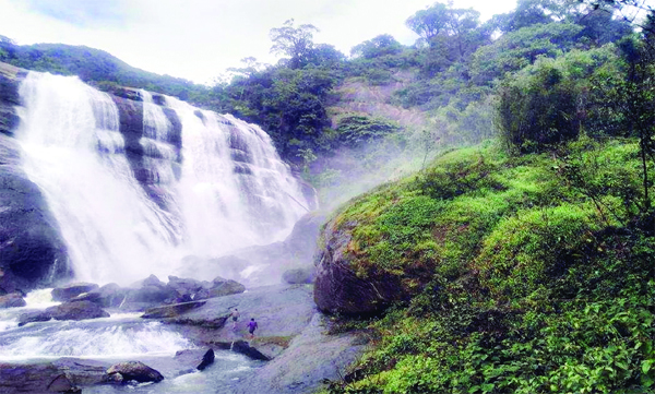 In the field of tourism, Mankulam is on the rise of development