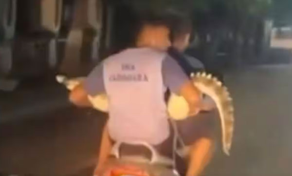 video-of-gujarati-youth-riding-a-bike-with-crocodile-goes-viral