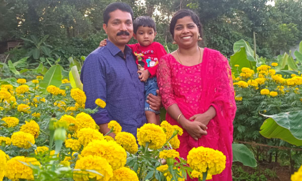 Chrysanthemums grow well in the climate of Kerala; A couple's spring break in a leased space