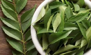 beauty-tips/foods-that-can-fix-grey-hair