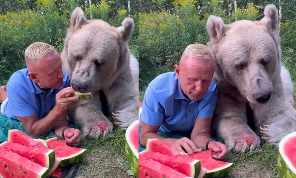 man-feeds-water-melon-to-a-bear-video