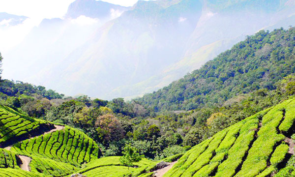 Environmentally vulnerable area should be limited