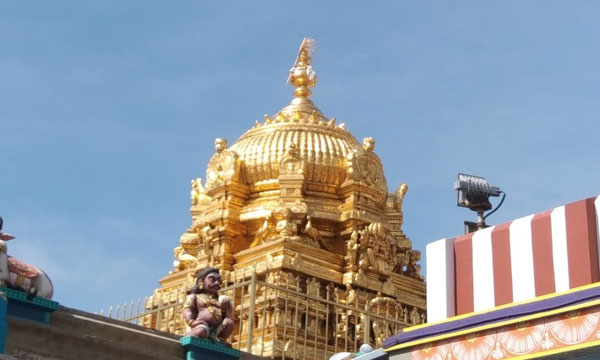 After Tirupati Prasad, animal fat is also suspected in Panchamritham Prasad at Palani Temple
