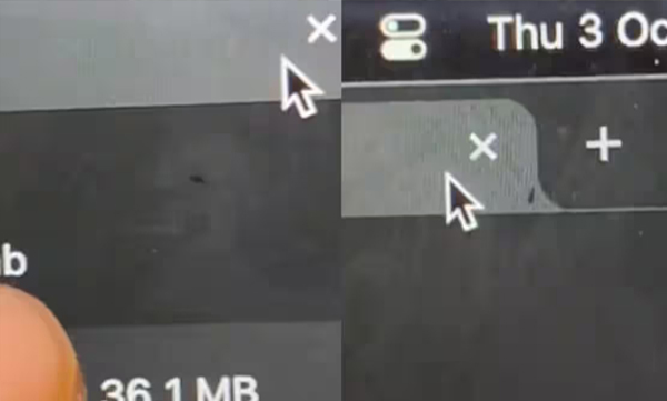 ants-in-laptop-screen-netizens-reacting-viral-video