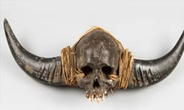 19th-century-naga-human-skull-with-horn-removed-from-sale-by-uk-auction-company-after-out-rage