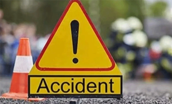 car-accident-kozhikode-dog-that-jumped-across
