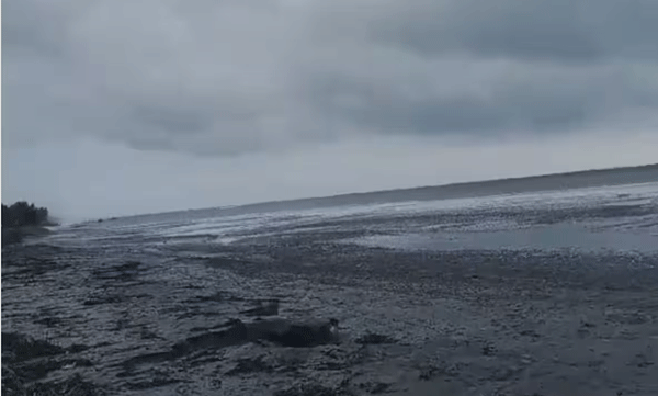 sea-rough-in-state-red-alert-in-coastal-districts-in-kerala