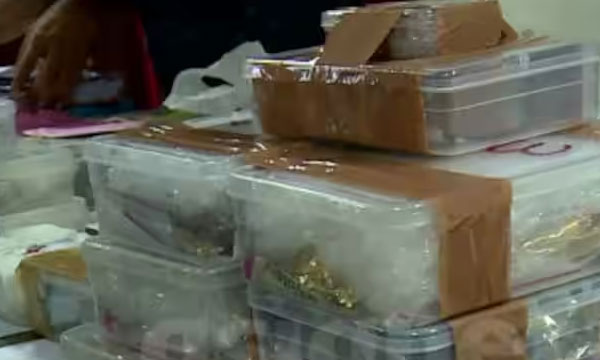 Raid conducted by State GST Intelligence; So far 120 kg of gold has been seized