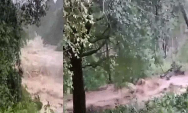 landslide-suspected-in-malampuzha-palakkad-water-level-rises-in-kallampuzha-kerala-weather-