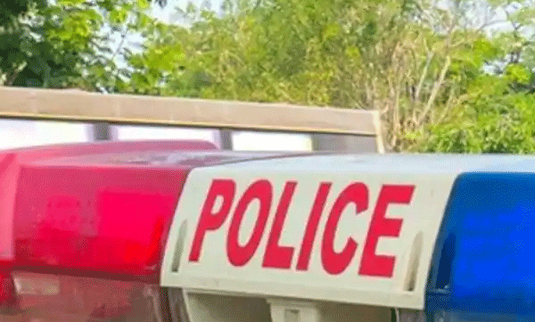 non-stop-horn-two-sisters-arrested-after-much-drama-in-delhi