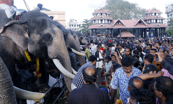 Elephants are not required for private functions and inaugurations...only for religious functions