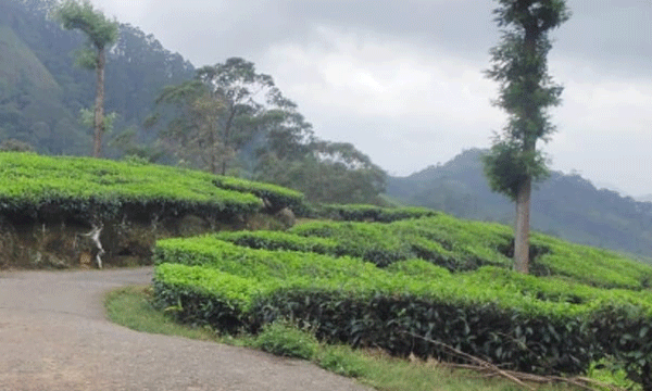  Idukki land issue will drag on endlessly