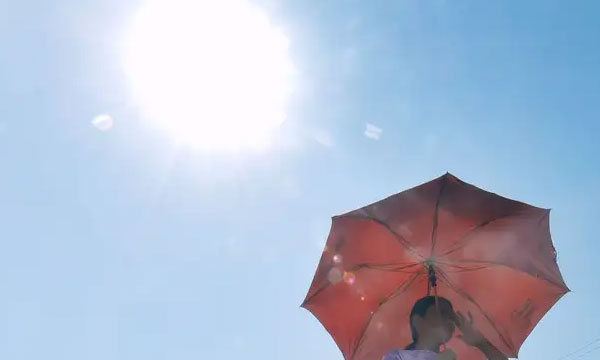 2024 was the warmest November on record since 1901