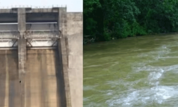 Water levels are dangerous; Alert for those living along the shores of Achankovil and Kalladyar