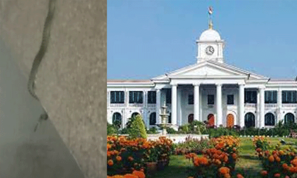 snake-found-inside-secretariat-kerala-soucej