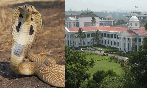 snake-found-again-inside-secretariat-kerala
