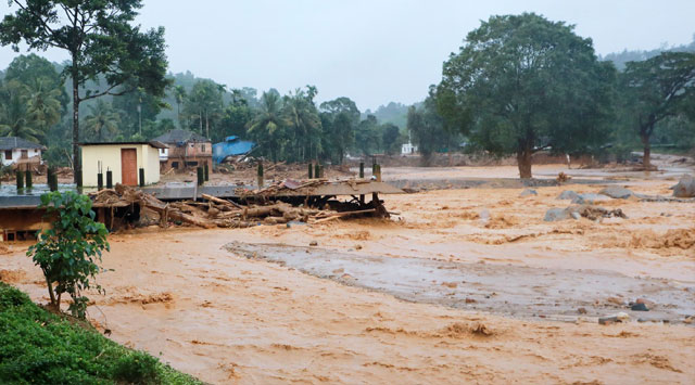 Rehabilitation of disaster victims; High Court can take land for inspection as per law