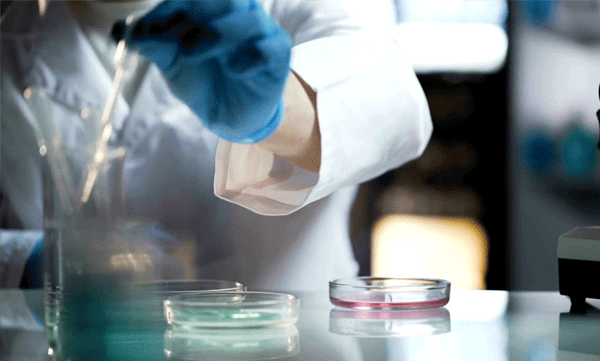 chinese-influencer-posting-tutorials-on-bloodstain-and-bone-cleaning-raises-concerns