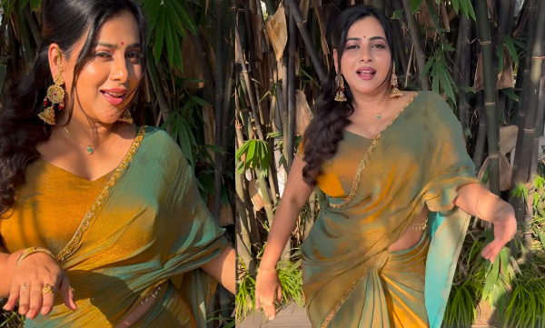anna-rajan-dance-to-a-tamil-song-wearing-a-sari