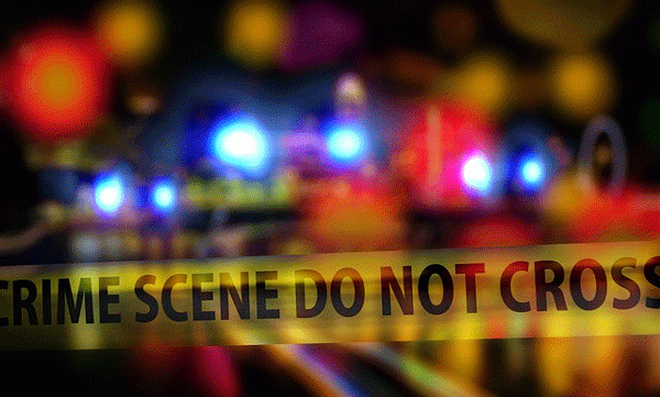 5 members of a family including two children were killed