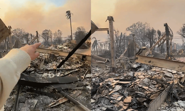 viral-video-of-house-that-was-burnt-down-when-the-los-angeles-wildfires