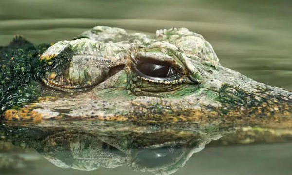 Income tax raids on houses of ex-legislators