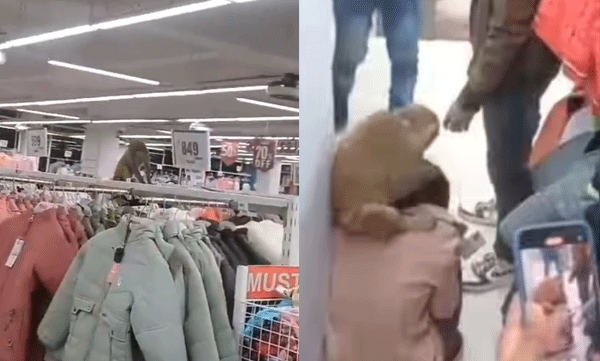 viral-video-of-monkey-attacking-woman-at-shopping-mall